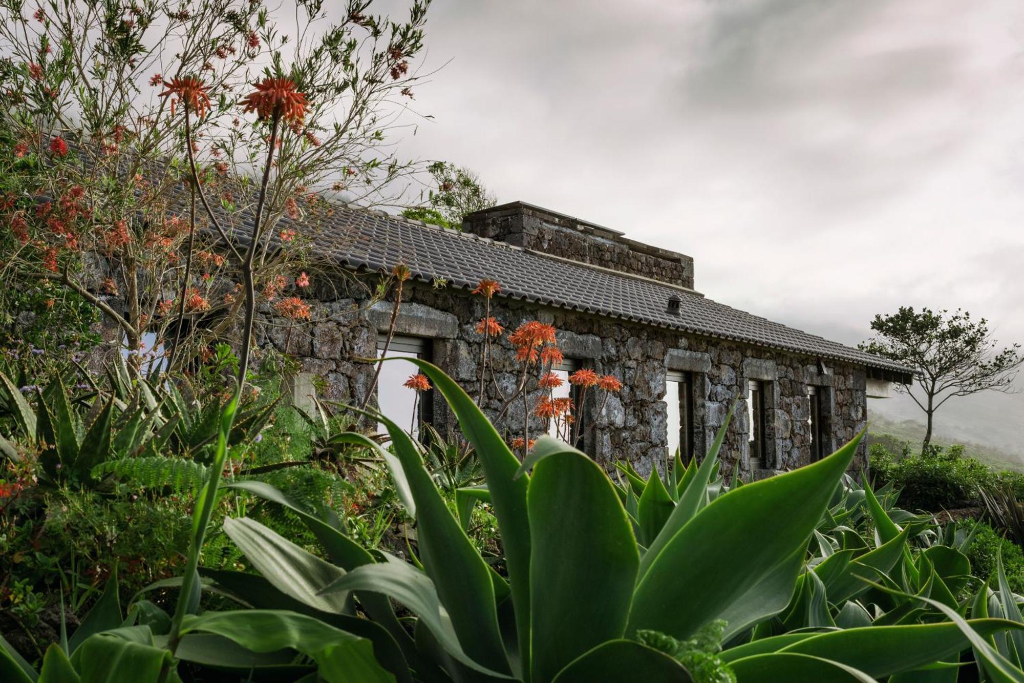 Lava Homes Santo Amaro  Exterior photo
